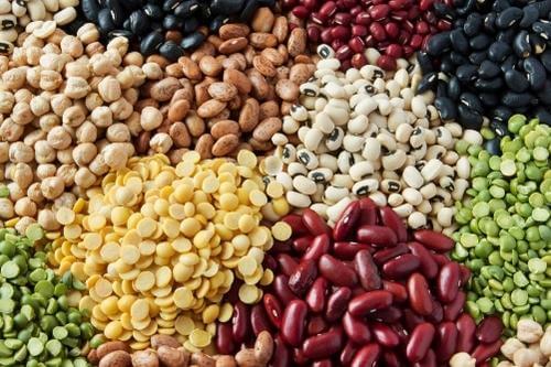 Pulses
